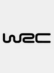 Черный автомобильные наклейки WRC