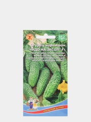Семена Огурец "Чудо на засол"