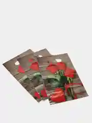 Вишнёвый пакет новогодний,5 шт ,20*30