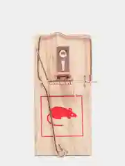 Бежевый мышеловка