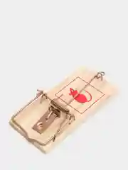 Бежевый мышеловка