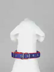 Морской ошейник для домашних животных, нейлоновый с подкладкой, разноцветные