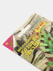 Семена цветы "Молодило Розовая звезда"