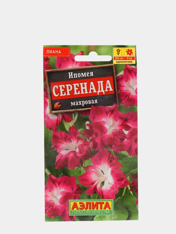 Ипомея "Серенада" (семена, цветы)