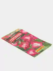 Ипомея "Серенада" (семена, цветы)