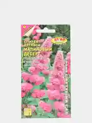 Спирея Малиновый десерт (семена,цветы)