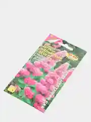 Спирея Малиновый десерт (семена,цветы)