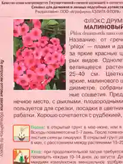 Семена цветов "Флокс Малиновый мусс"