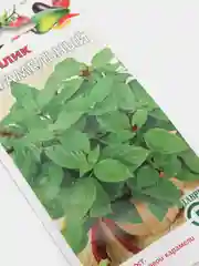 Семена "Базилик Карамельный"