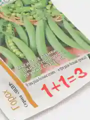 Семена "Горох Сахарный 2"
