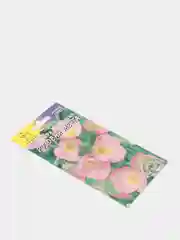 Энотера Розовая мечта (семена,цветы)
