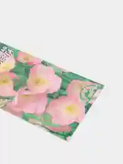 Энотера Розовая мечта (семена,цветы)