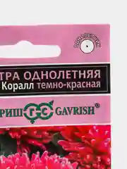 Семена астра "Леди Коралл" темно-красная