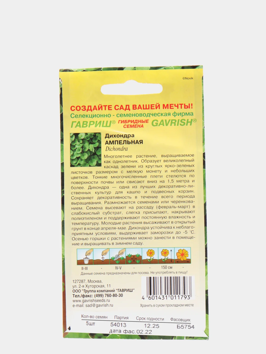 Дихондра Ампельная (семена)
