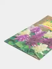 Семена сальвии "Галактика"