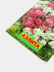 Алиссум "Двойное сияние" (семена, цветы)