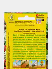 Алиссум "Двойное сияние" (семена, цветы)