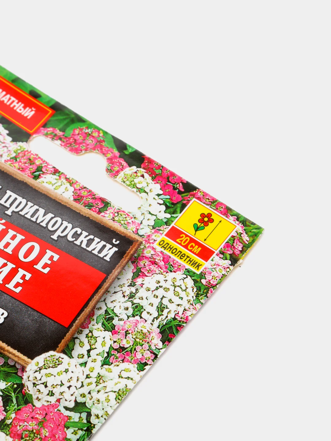 Алиссум "Двойное сияние" (семена, цветы)