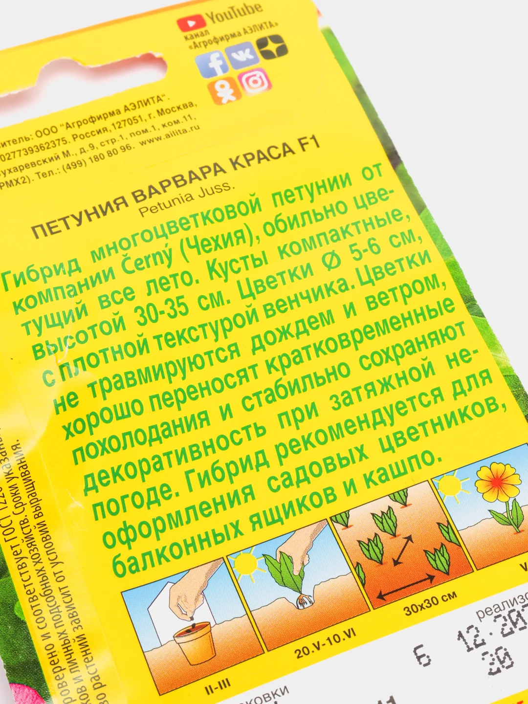 Петуния Варвара краса (семена,цветы)