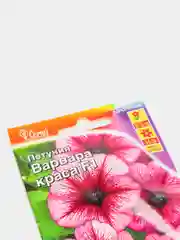 Петуния Варвара краса (семена,цветы)