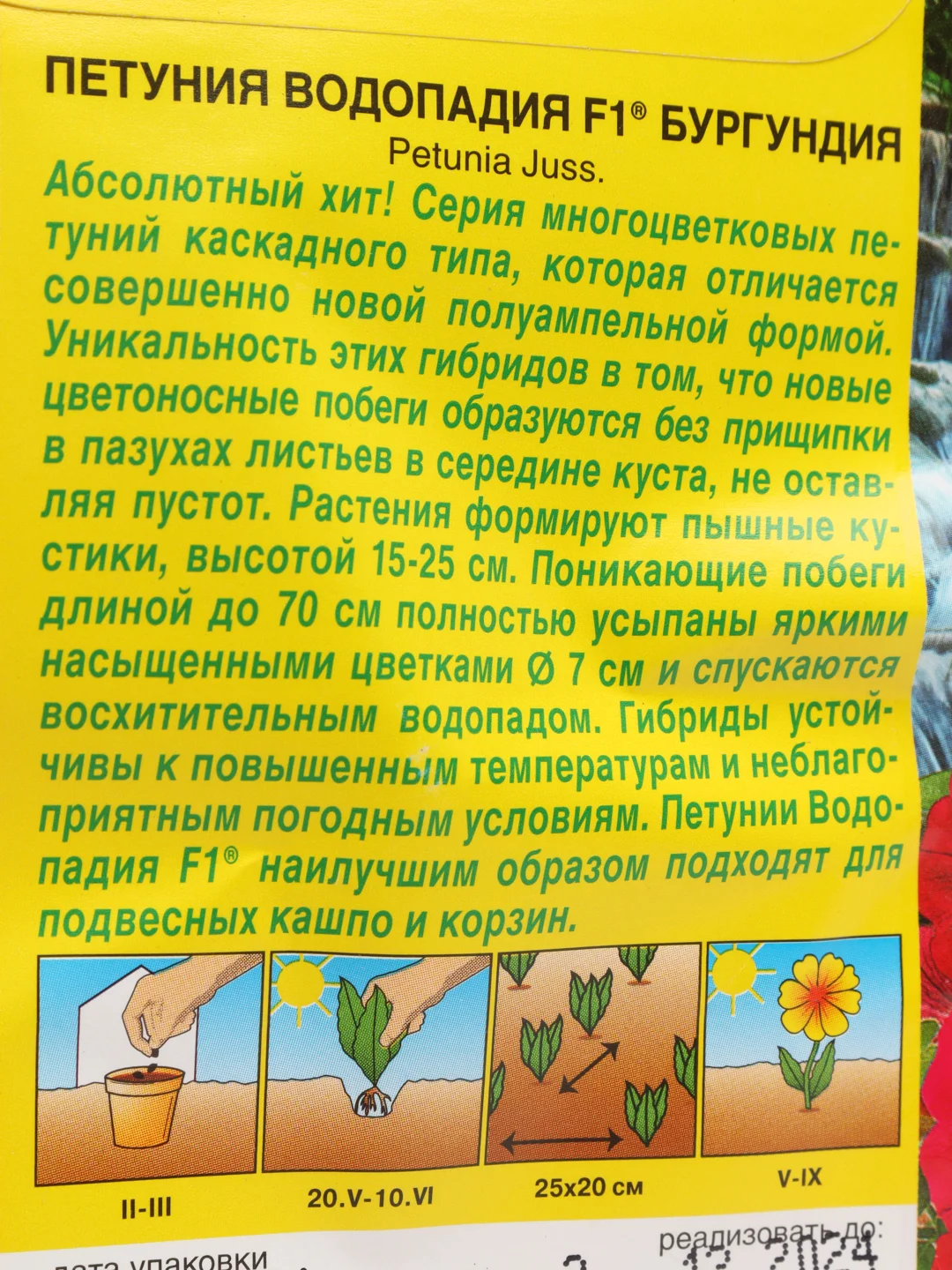 Петуния Водопадия бургундия (семена,цветы)
