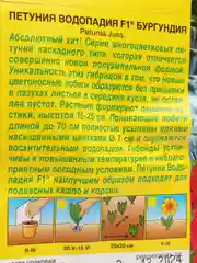 Петуния Водопадия бургундия (семена,цветы)