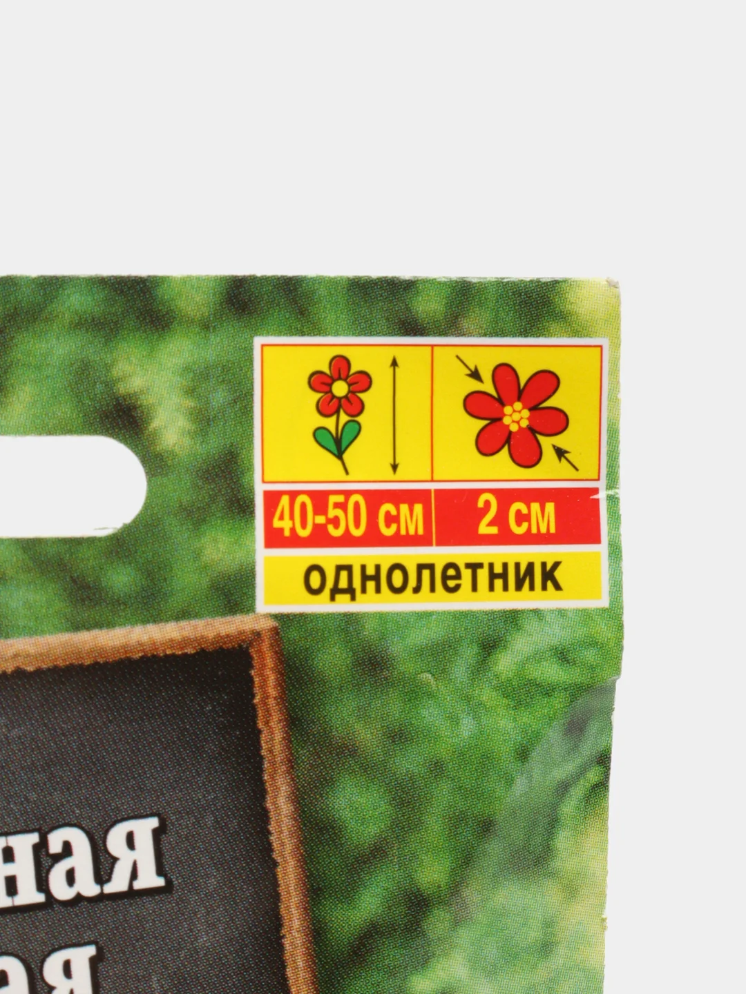 Фасоль Биколор декоративная (семена,цветы)
