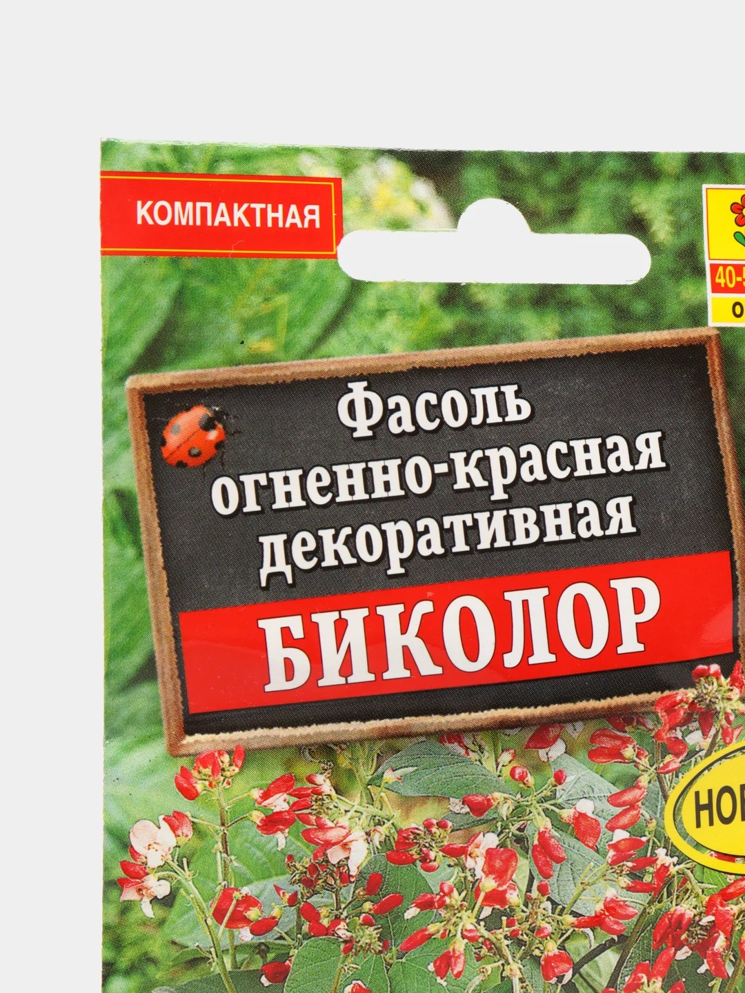 Фасоль Биколор декоративная (семена,цветы)