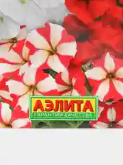 Петуния Хейли (семена,цветы)