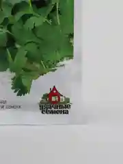 Кориандр-кинза "Янтарь", семена