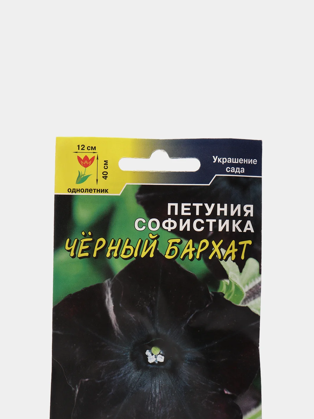Петуния Черный бархат (семена,цветы)