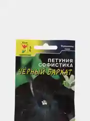 Петуния Черный бархат (семена,цветы)