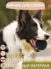 Игрушка для собаки "Мяч", цельнорезиновый