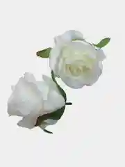 Белый цветы искусственные, зелень