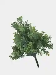 Белый цветы искусственные, зелень