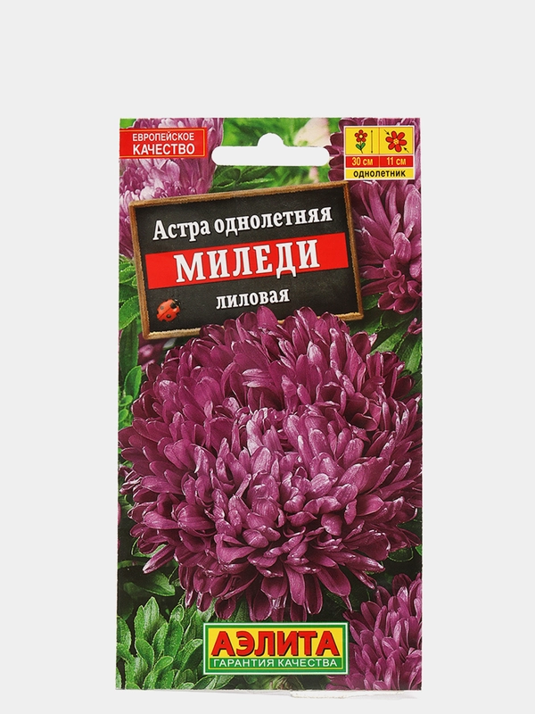 Семена Астра однолетняя "Миледи лиловая"