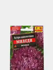 Семена Астра однолетняя "Миледи лиловая"