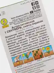 Семена цветов Астра "1 сентября", смесь окрасок, О, 0.2 г