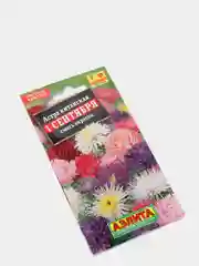 Семена цветов Астра "1 сентября", смесь окрасок, О, 0.2 г