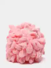 Пастельно-коралловый пряжа Alize Puffy петельки