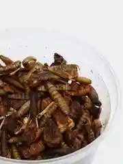 Лакомство для насекомоядных животных Кузнечики и львинка, 250 мл, 40 гр
