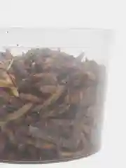 Лакомство для насекомоядных животных Кузнечики и львинка, 250 мл, 40 гр