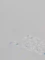 Песочный хаки слайдеры для дизайна ногтей