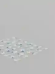 Коралловый слайдеры для дизайна ногтей