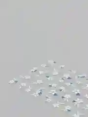Коралловый слайдеры для дизайна ногтей