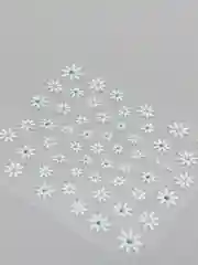 Прозрачный слайдеры для дизайна ногтей