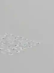 Золотой слайдеры для дизайна ногтей
