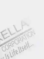 Марсала наклейка на авто "Umbrella corporation"