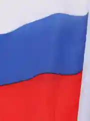 Флаг России, 14 х 21 см, шток 30 см
