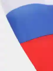 Флаг России, 14 х 21 см, шток 30 см